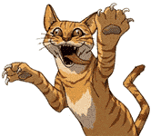 ぶらりドロボーネコ